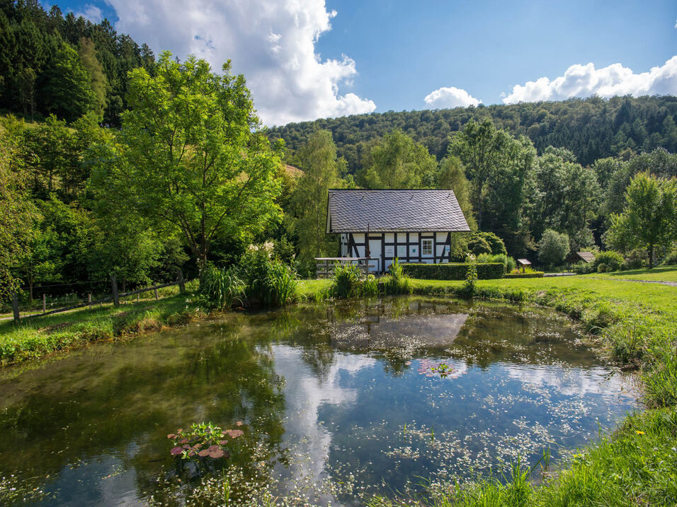 Village park and forestry museum in Latrop in the Schmallenberger Sauerland