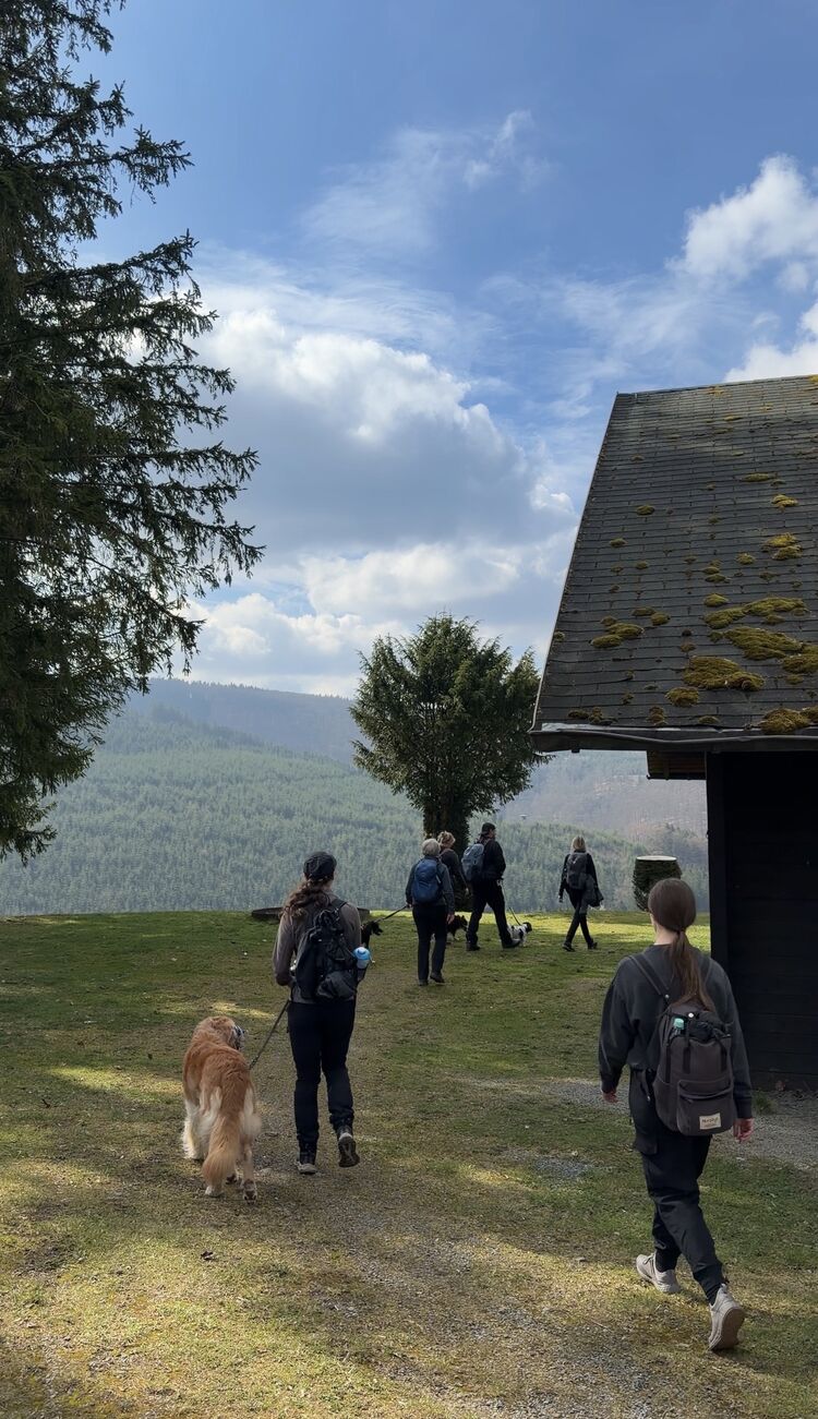 hügelhikes_hundewanderung