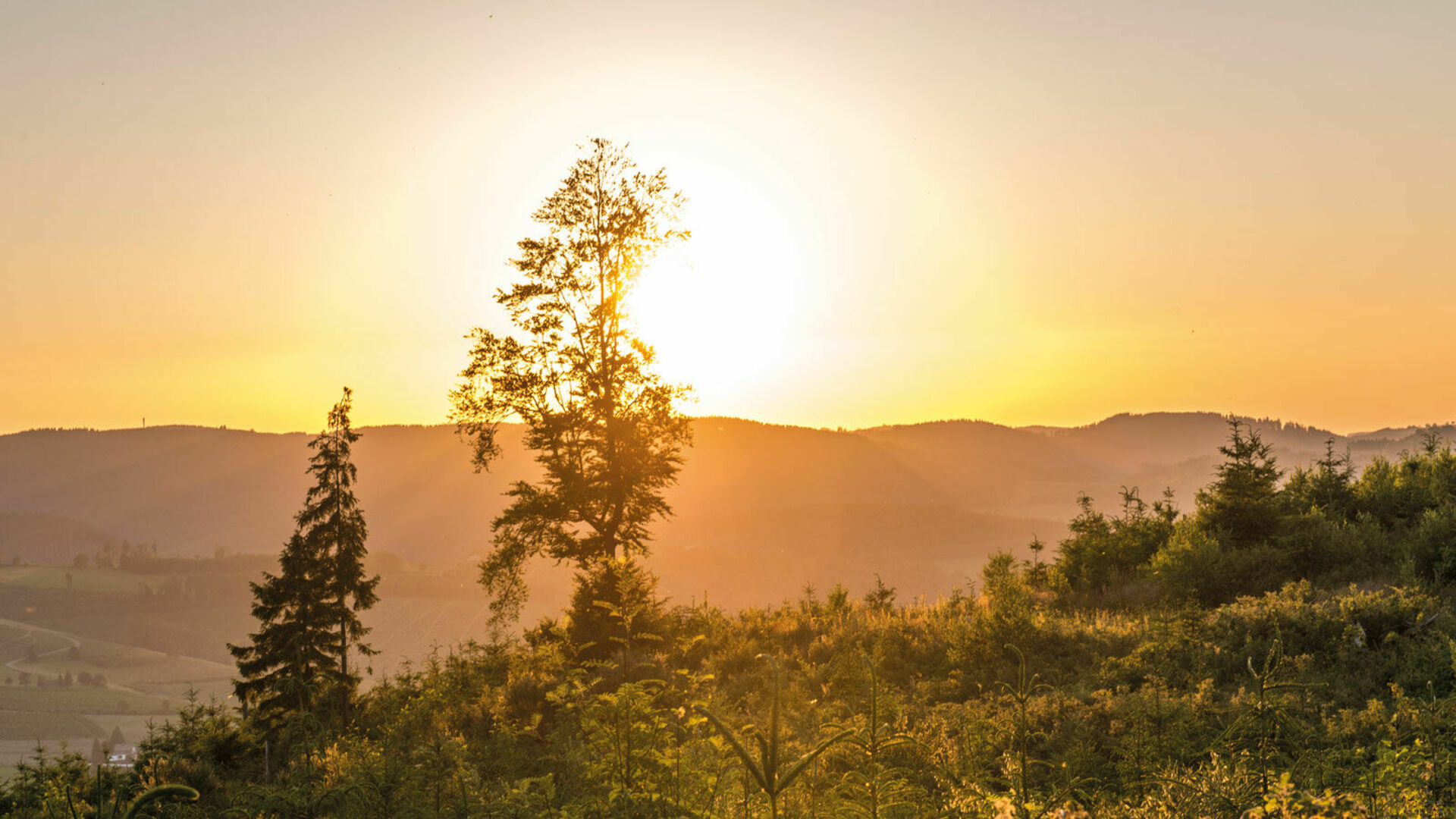 Sunrise in the beautiful landscape of the Schmallenberger Sauerland.