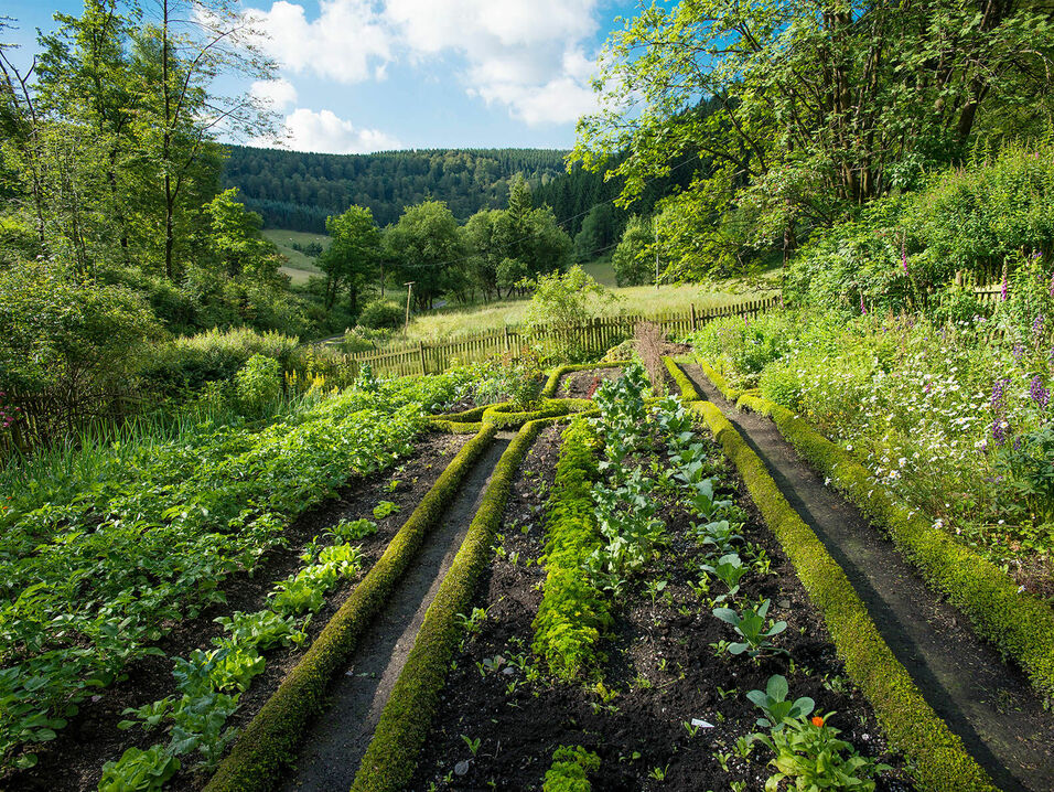 Bauerngarten im Sorpetal