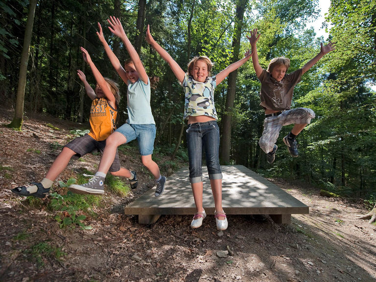 Children on the forest adventure trail near Bad Fredeburg
