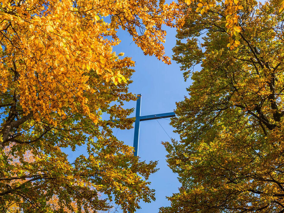 Summit cross on the Wilzenberg.