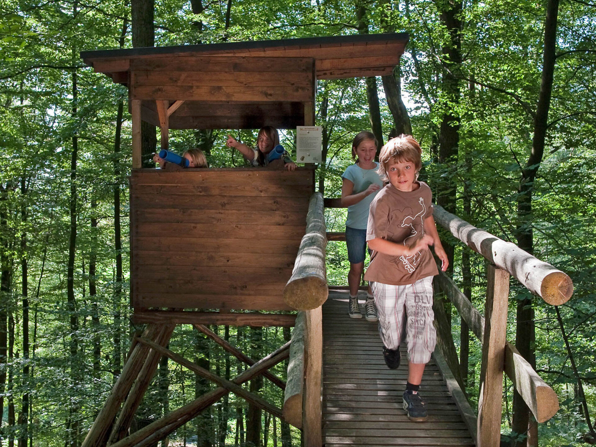 Children on the forest adventure trail in Bad Fredeburg in the Sauerland