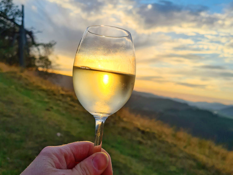Wein