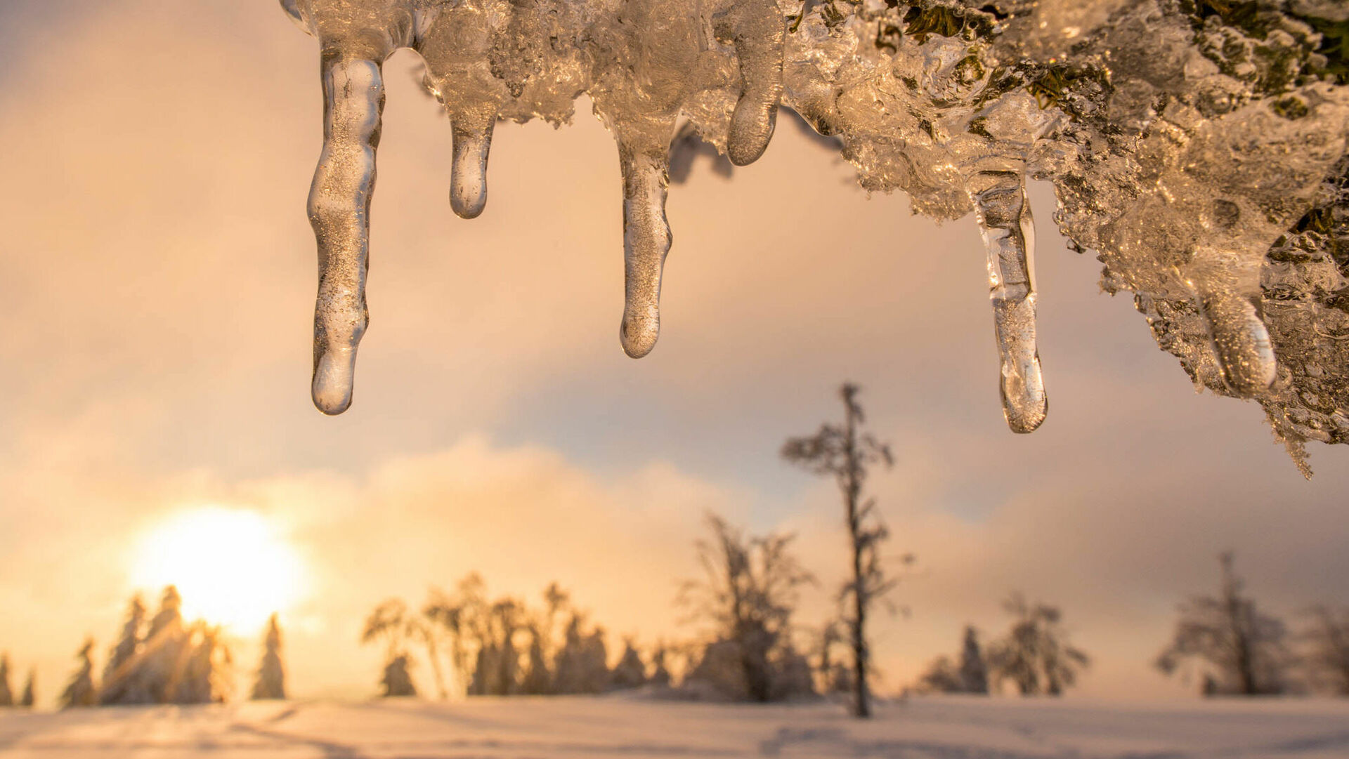 Winterlandschaft im Schmallenberger Sauerland