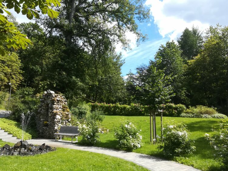 Rosen im Küsterland; Birkhoelzer, Marloes
