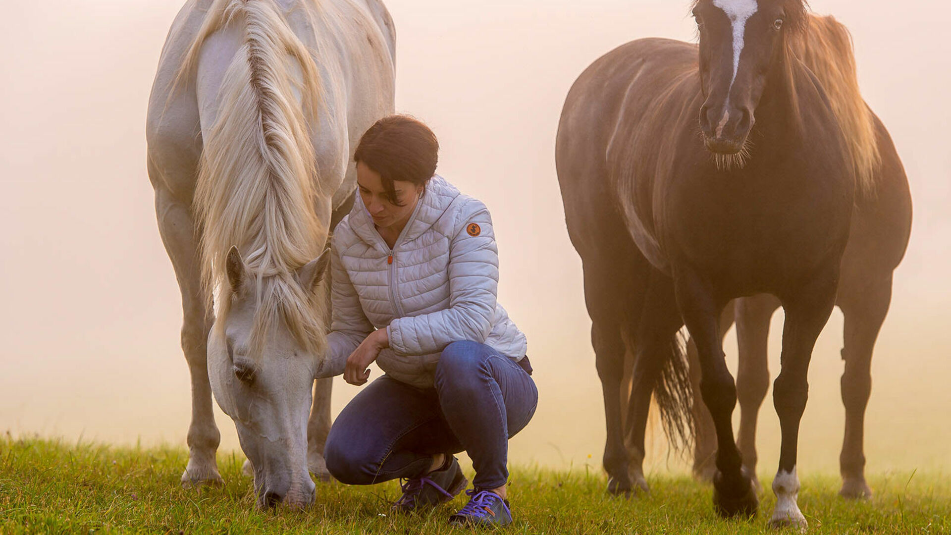 Daniela Bette-Koch on a paddock near County