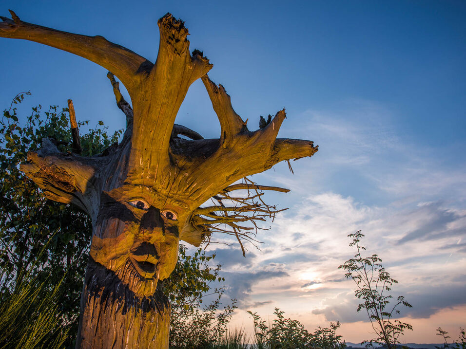 Wood spirit at the Kyrill hut near Kirchrarbach