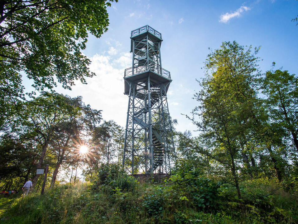View of the Wilzenberg tower near Grafschaft in the Schmallenberger Sauerland