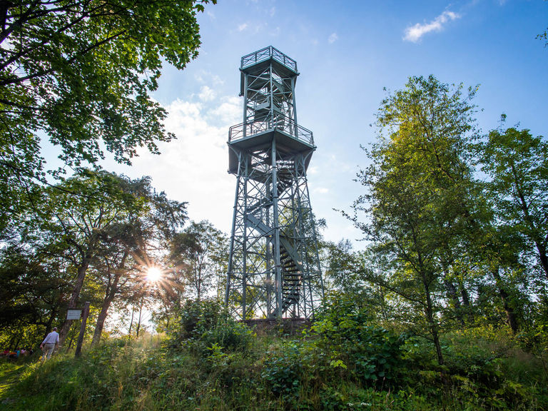 Uitzicht op de Wilzenbergtoren bij Grafschaft in het Schmallenberger Sauerland