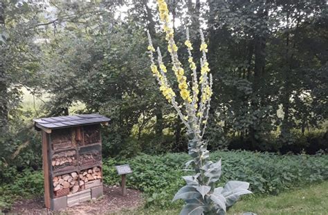 Bibelgarten Lenne